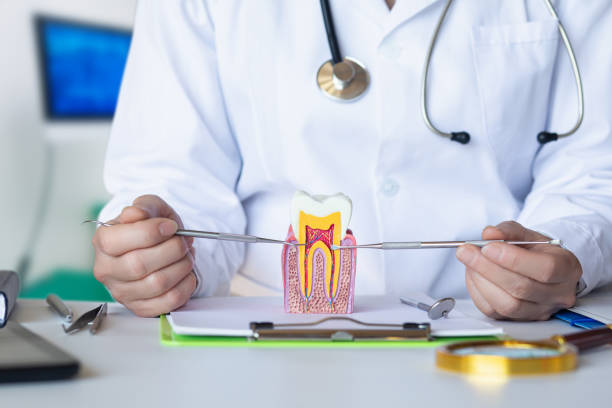 Best Emergency Wisdom Teeth Removal in Nyon Lake, CA